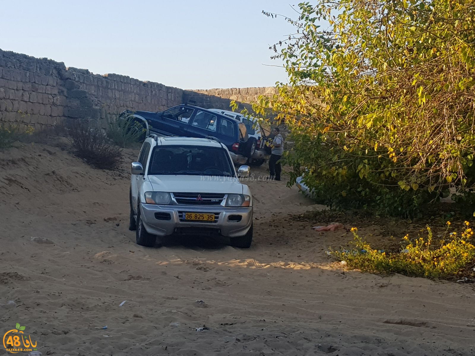 robenerejq (20).jpeg